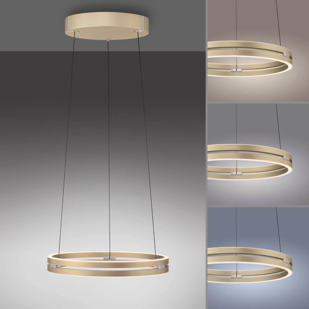 Sleek hanging lamp Pure E-Loop brass Paul Neuhaus 4012248372265