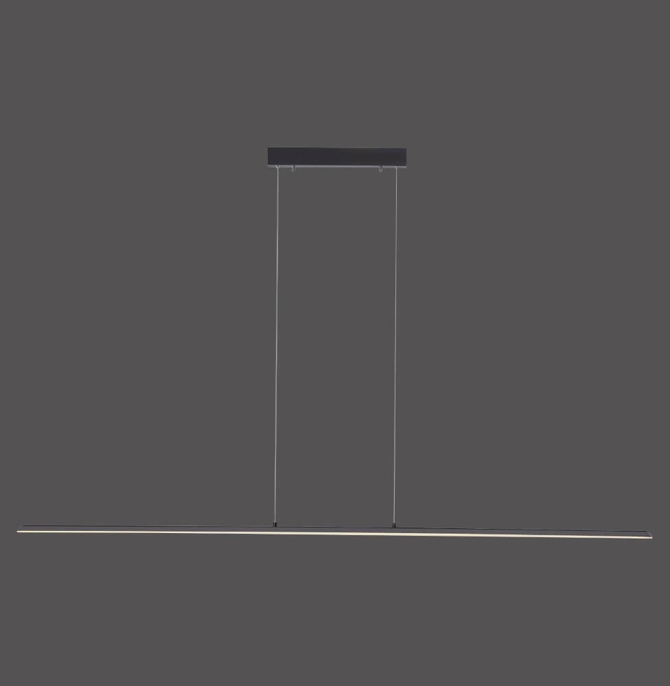 Design hanging lamp Pure Lite 160cm anthracite Paul Neuhaus 4012248344897