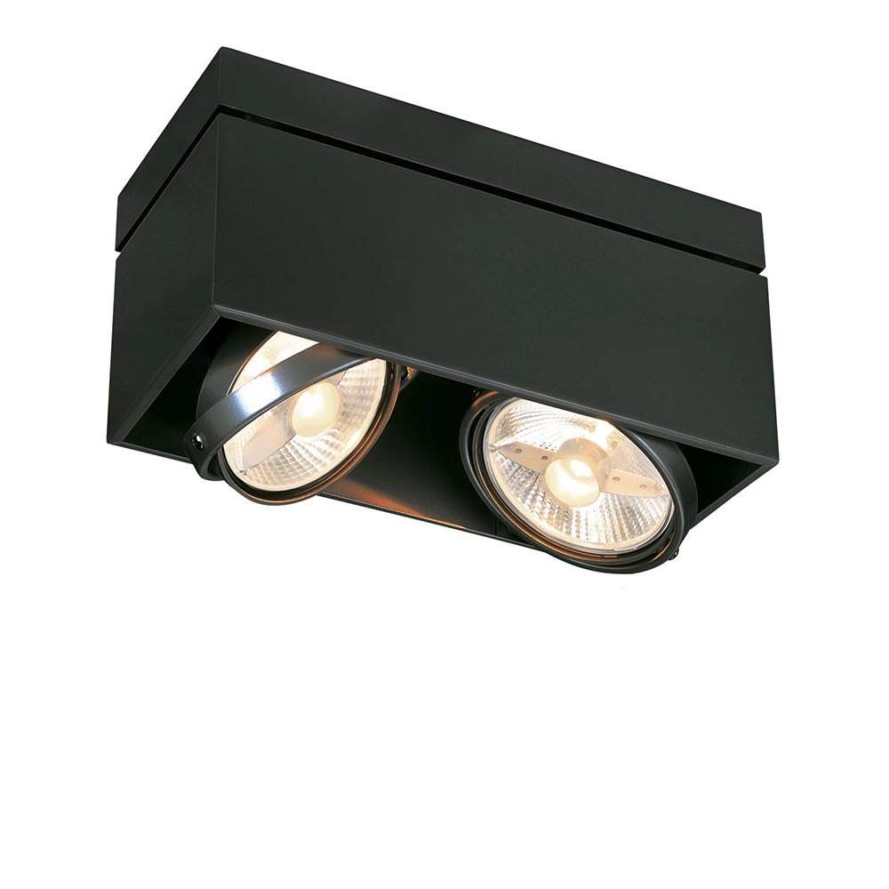 Ceiling spot Kardamod  Square 2-light black