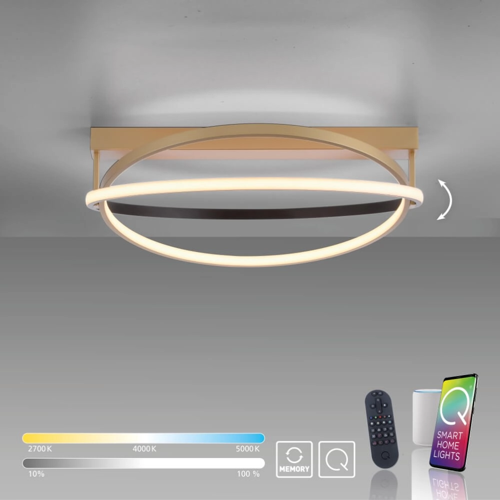 Ceiling lamp Q-Beluga brass Paul Neuhaus 4012248373606