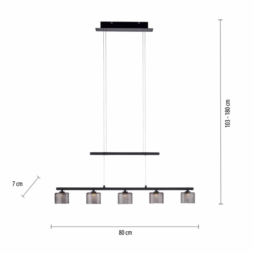 5-light pendant lamp Hydra black Paul Neuhaus 4012248364970