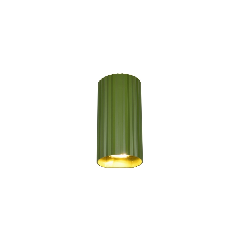 Surface-mounted spot Soka green Trio 4017807657081
