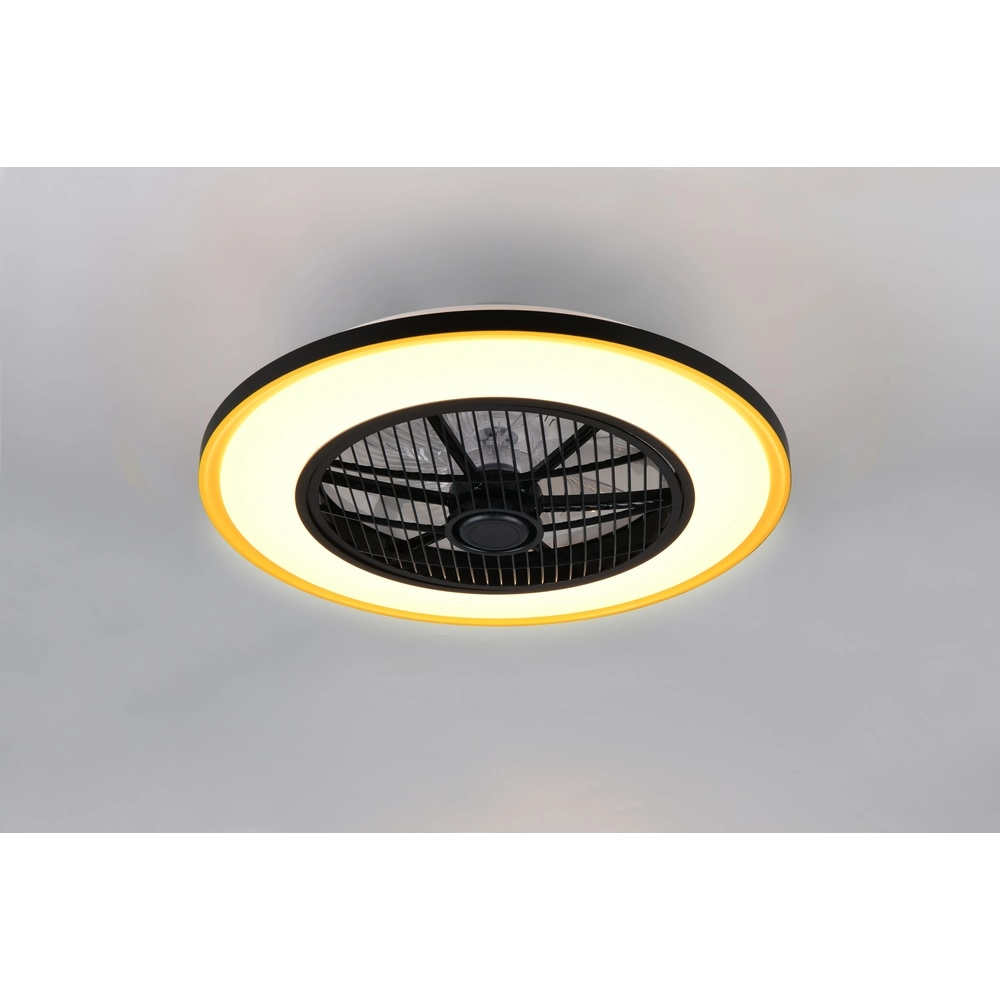 Ceiling fan Varpula black with gold