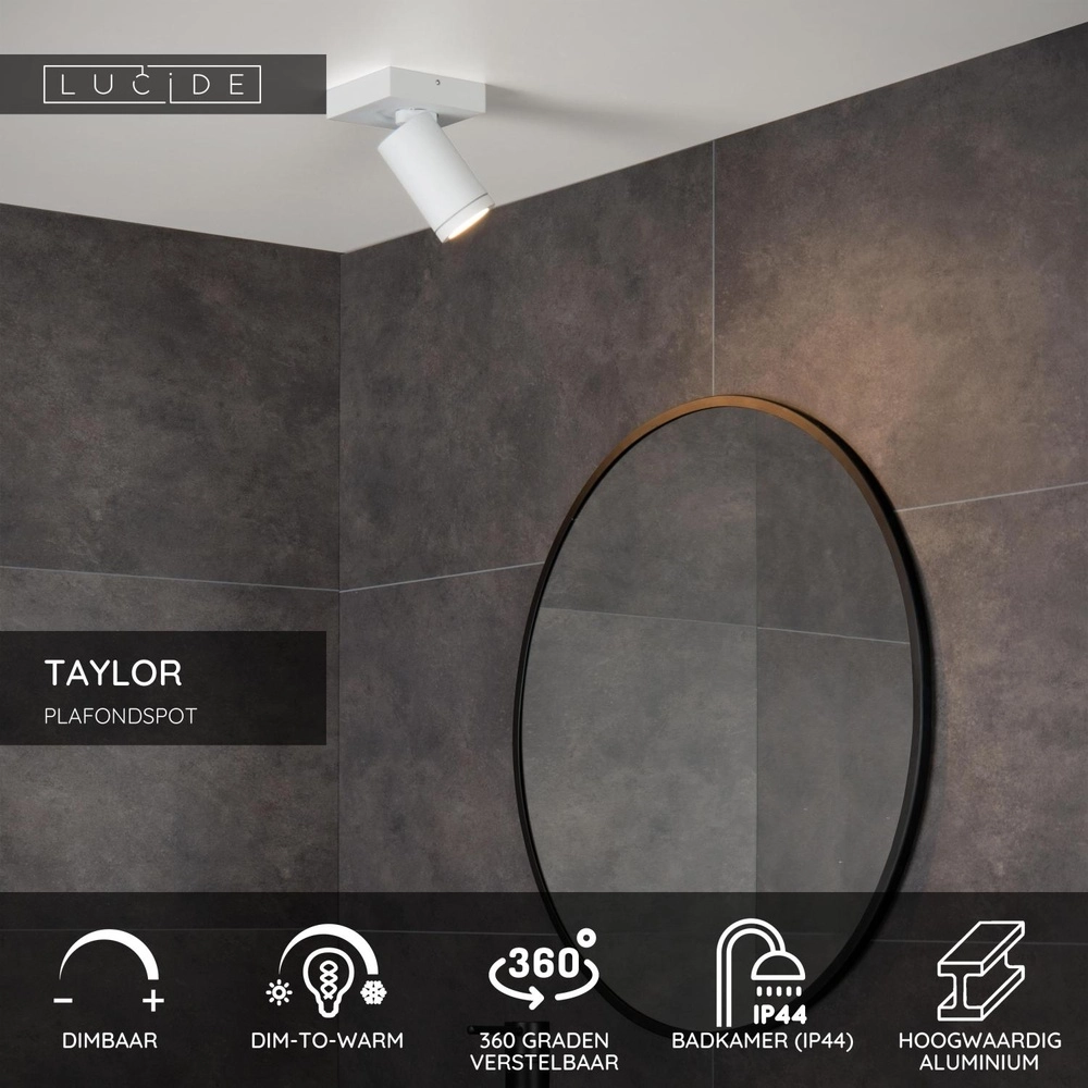 Ceiling spotlight Taylor IP44 white only Lucide 5411212092625