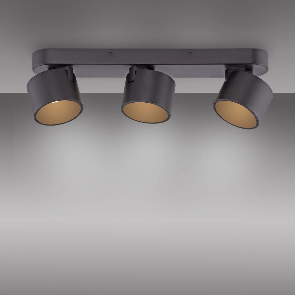 3L Led surface-mounted spotlight Pure Cup black pearl Paul Neuhaus 4012248395615