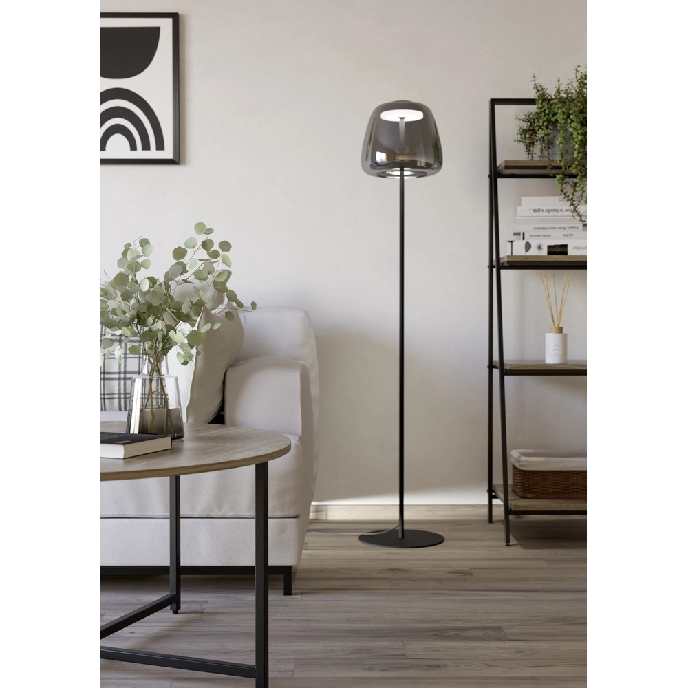 Floor lamp Alfero-Z Smoke Glass - App Control Eglo 9008606312870