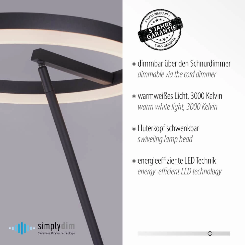 Anthracite floor lamp Titus modern Paul Neuhaus 4012248357637
