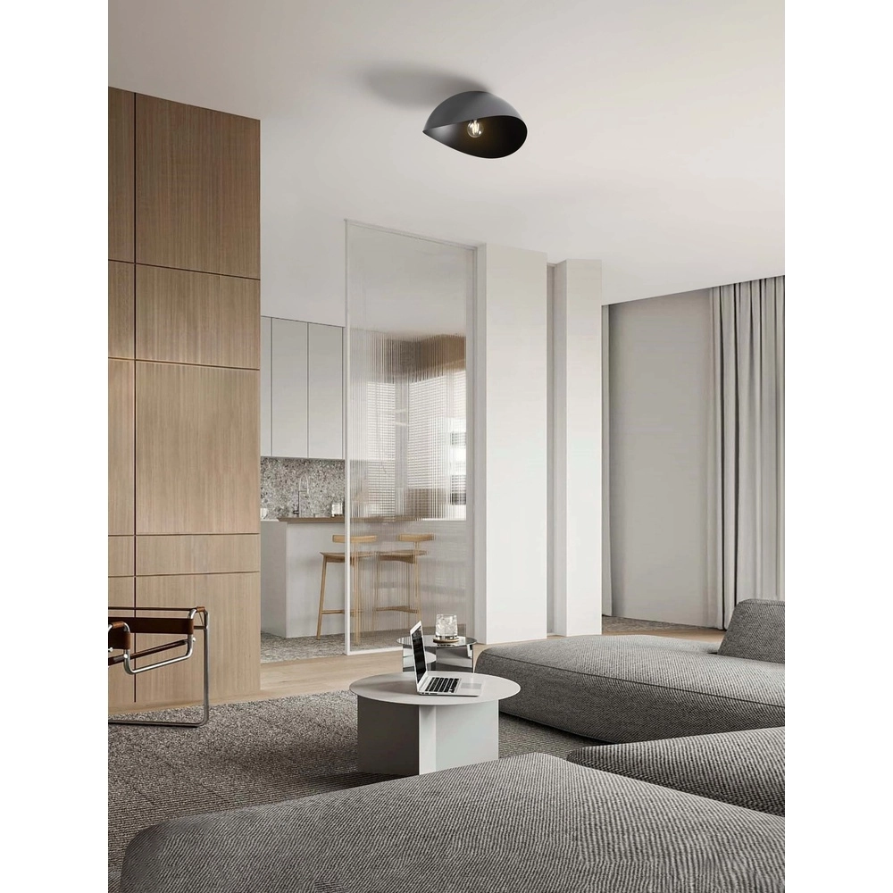 Ceiling lamp Opsi black Ø 40cm Lyora 5212017458049
