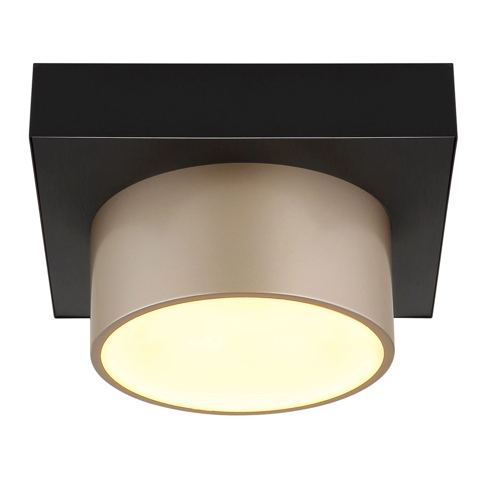 Ceiling lamp Raymond black with champagne Globo 9007371569373