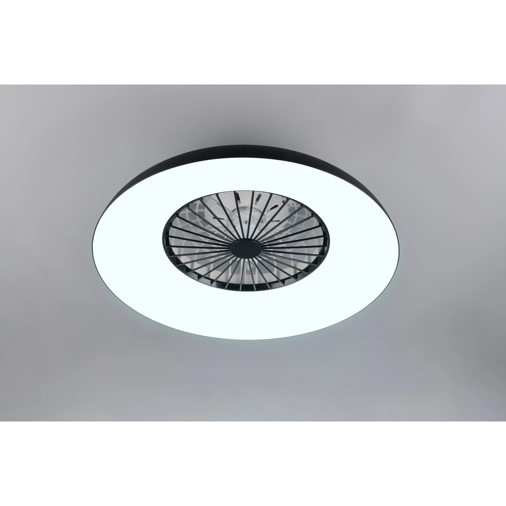 Design fan Svaerholt black Ø 60cm with RGB function Trio 4017807688795