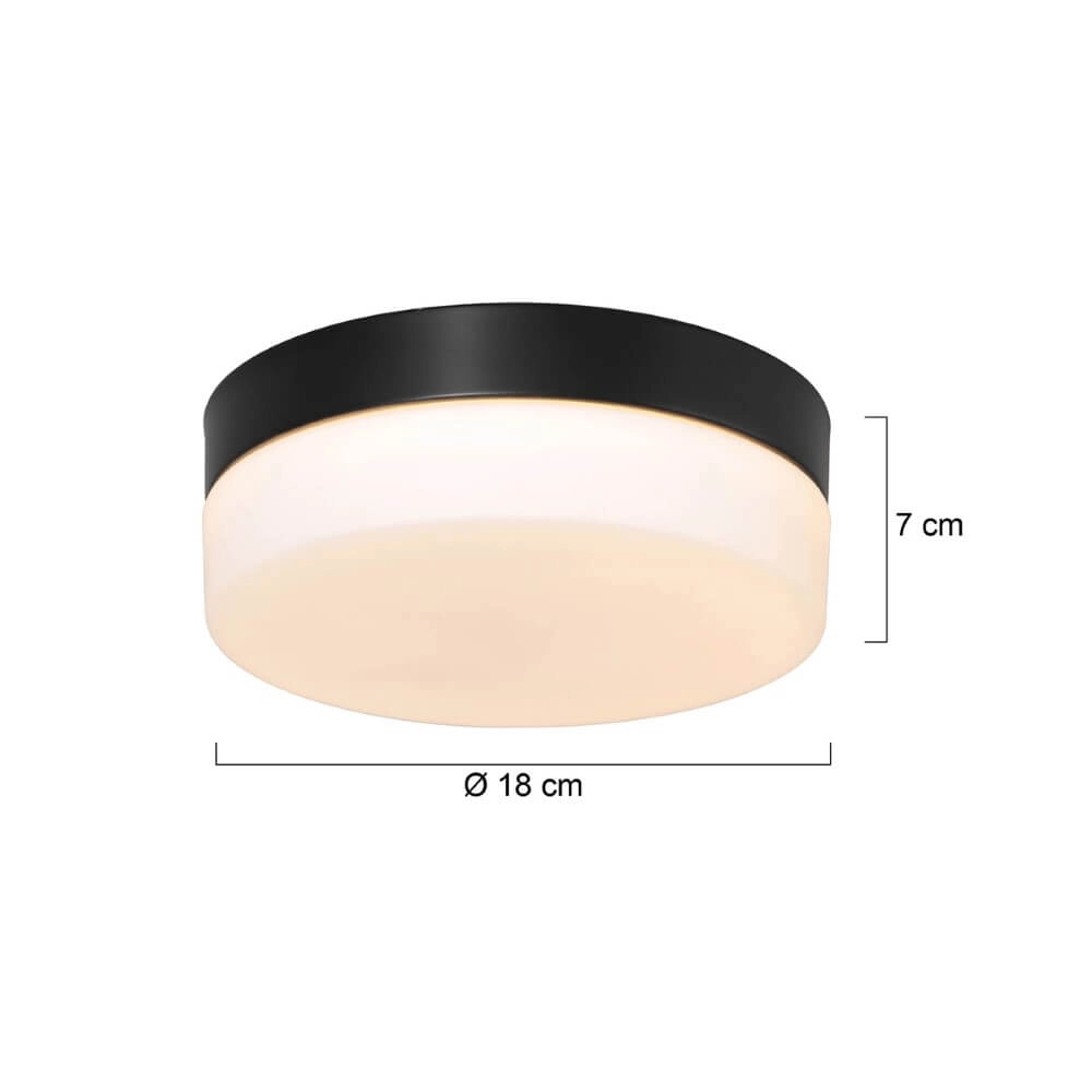 Bathroom ceiling lamp Ikaro Ø 18cm Steinhauer 8712746152968