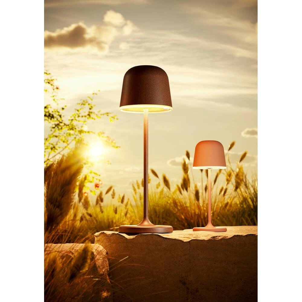 Table lamp Mannera Red design Eglo 9008606355556