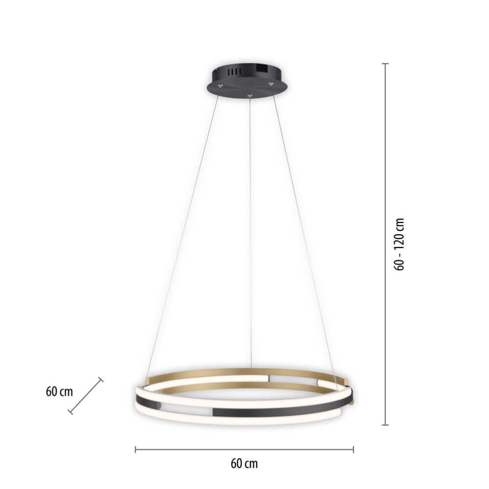 Design pendant lamp Q-Beluga 60cm Paul Neuhaus 4012248374641