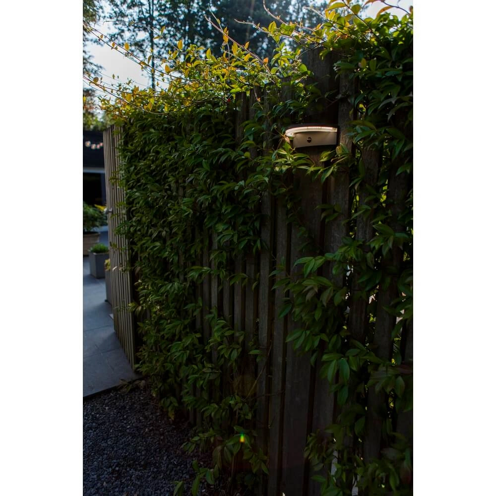 Outdoor Sensor Lamp Vyzor Solar powered Lutec 6939412016320