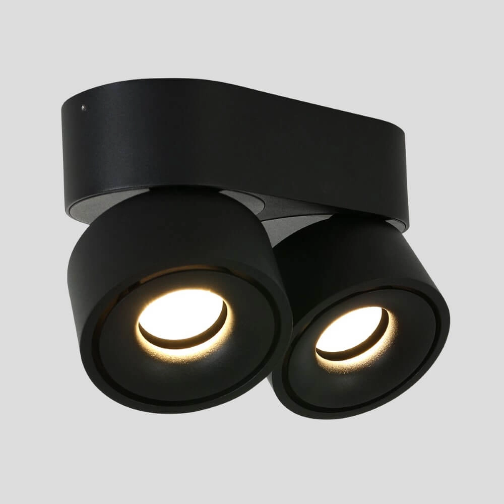 Spot lamp Fez Black 2-light black Steinhauer 8712746132502