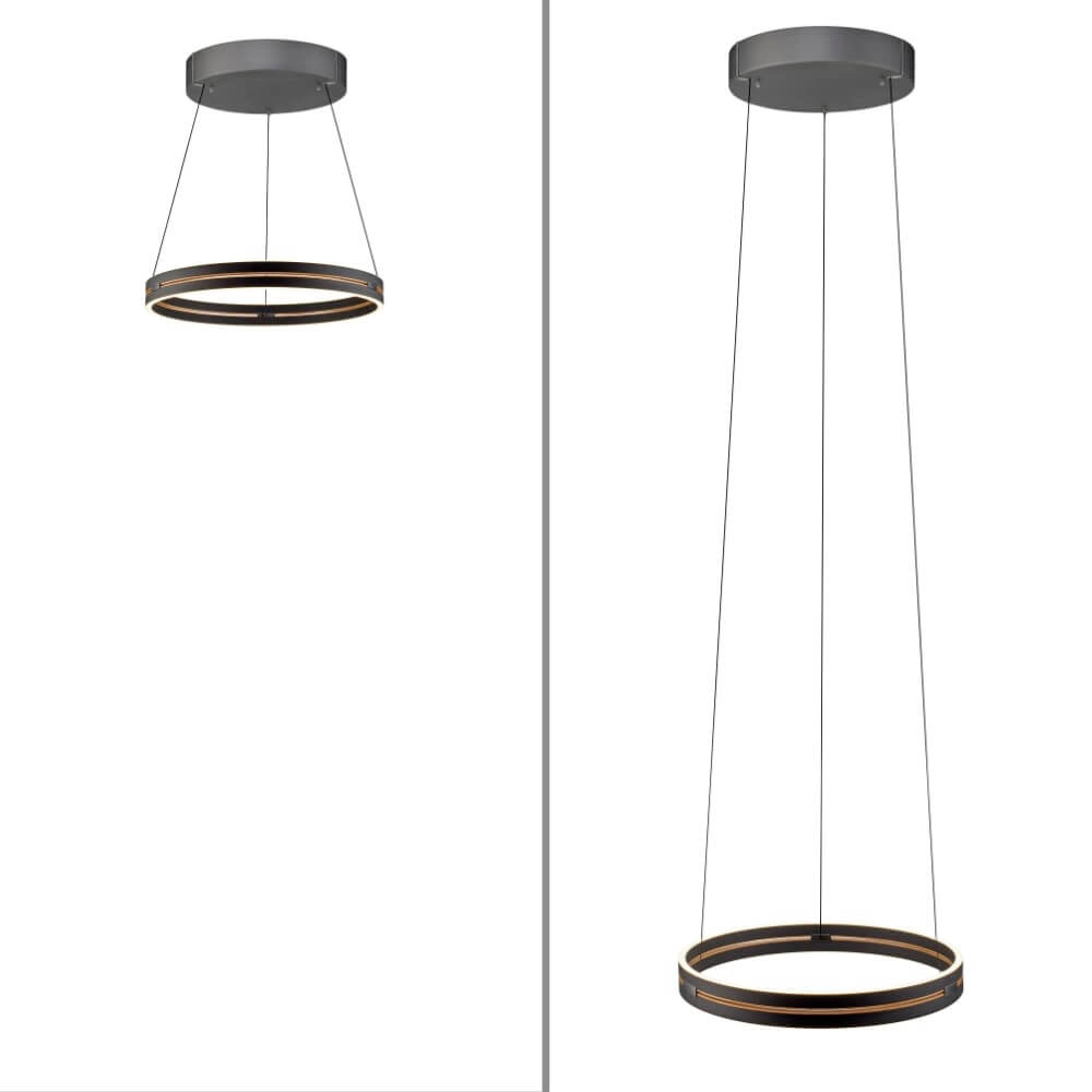 Sleek hanging lamp Pure E-Loop black Paul Neuhaus 4012248386224
