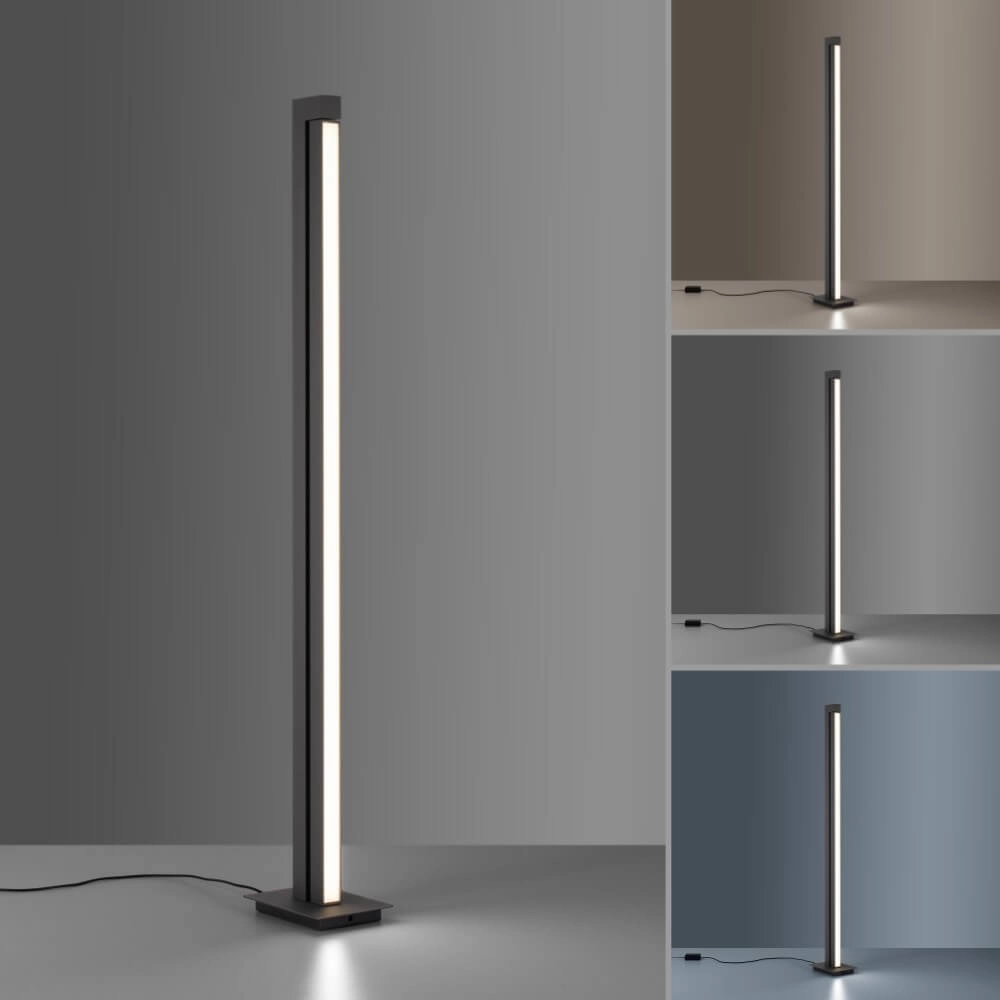 Floor lamp Pure-Lines anthracite Paul Neuhaus 4012248366325