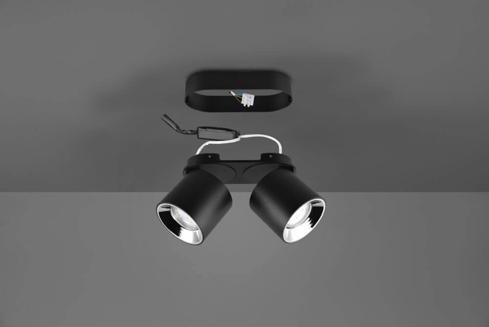 Ceiling light Guayana 2-light black Trio 4017807573961