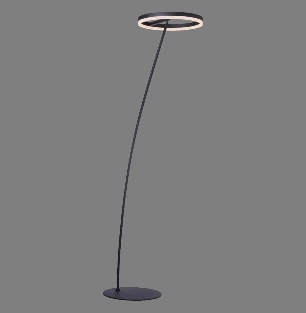 Anthracite floor lamp Titus modern Paul Neuhaus 4012248357637