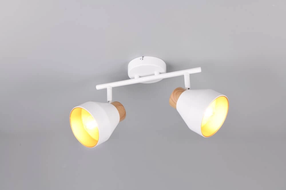 Design ceiling lamp 2-lights Valentin white Trio 4017807637427