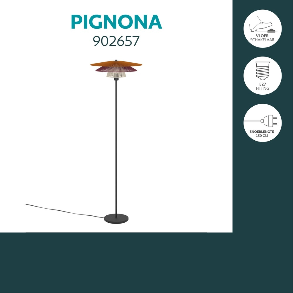 Wire lamp Pignona floor coloured Eglo 9008606391189