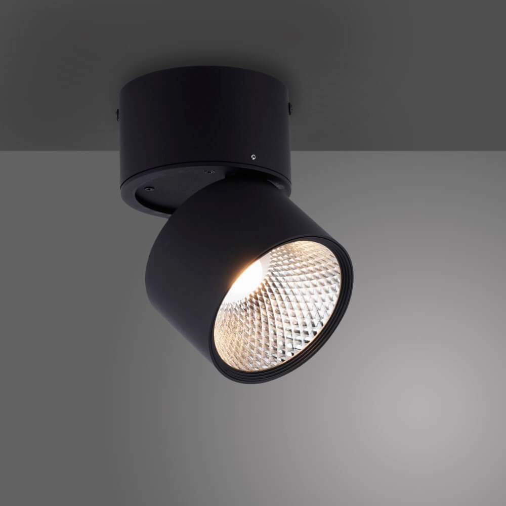 Surface-mounted spotlight Pure Nola black Paul Neuhaus 4012248371992