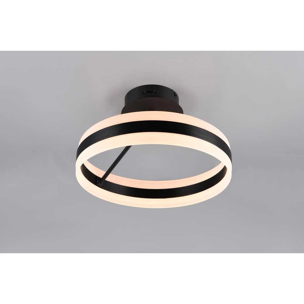 Design ceiling lamp Dios black Trio 4017807657692