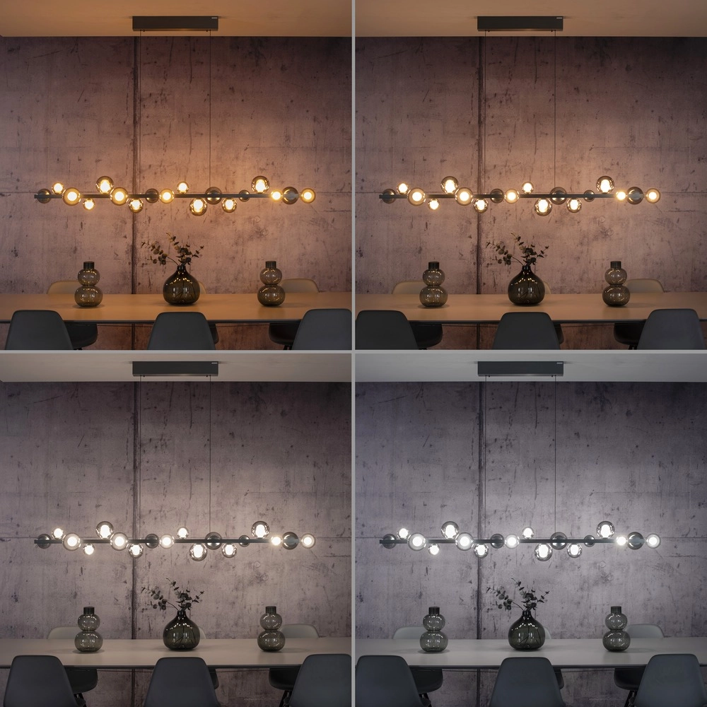 Dining table pendant lamp Pure E-Popup 18L - with smoke glass Paul Neuhaus 4012248396452