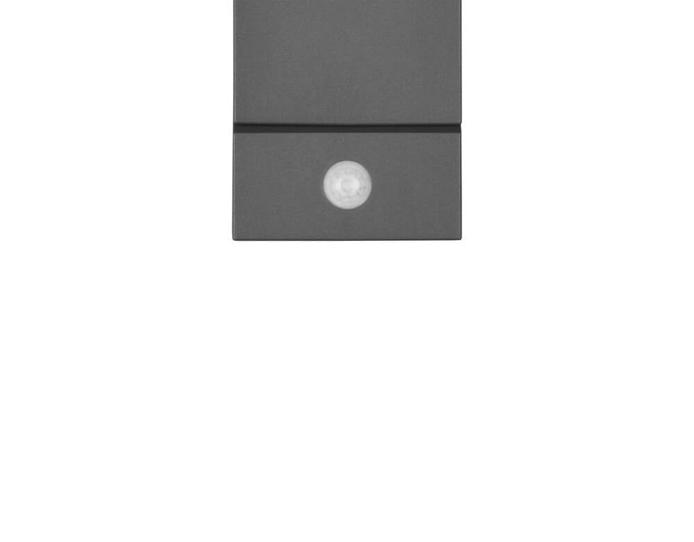 LED wall lamp Avon with motion sensor Trio 4017807529135
