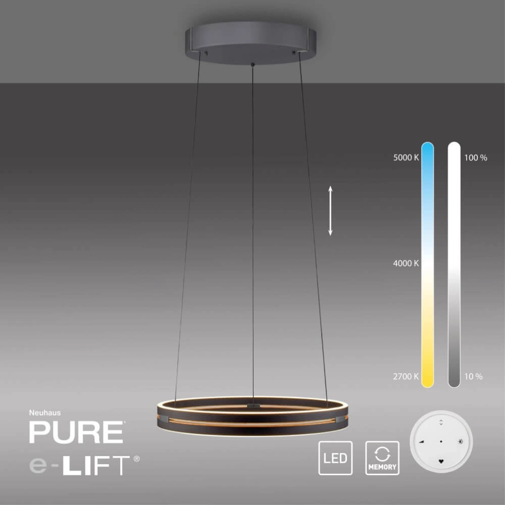 Sleek hanging lamp Pure E-Loop black Paul Neuhaus 4012248386224
