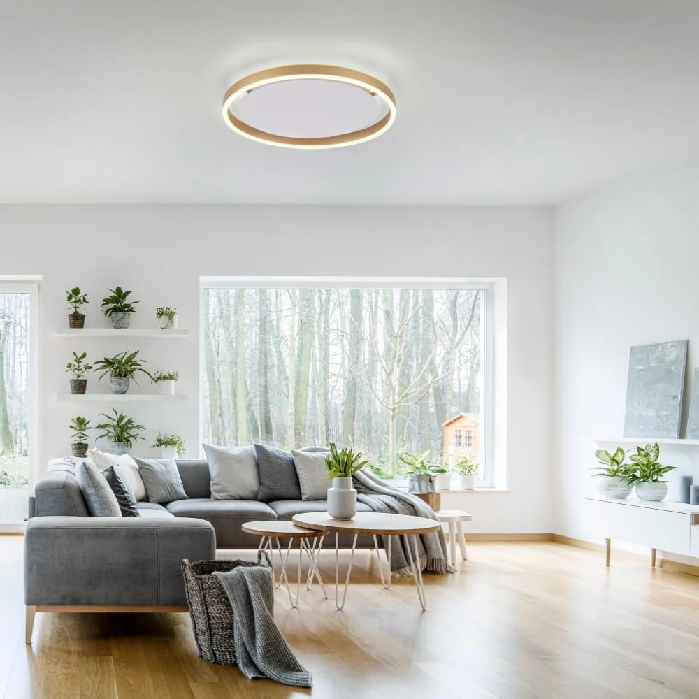 Ceiling lamp Ritus brass Ø 39.3cm Just Light 4043689985622