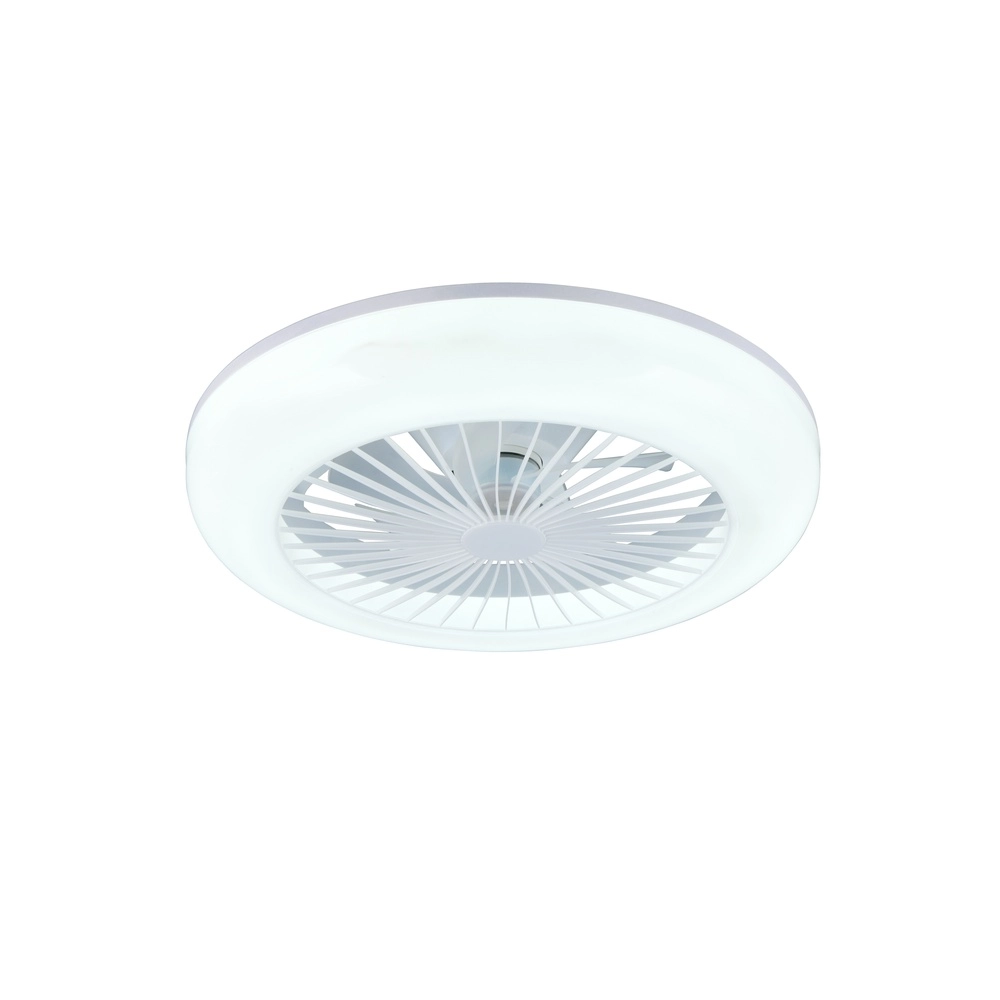Ceiling fan Mora white with lamp Trio 4017807650419