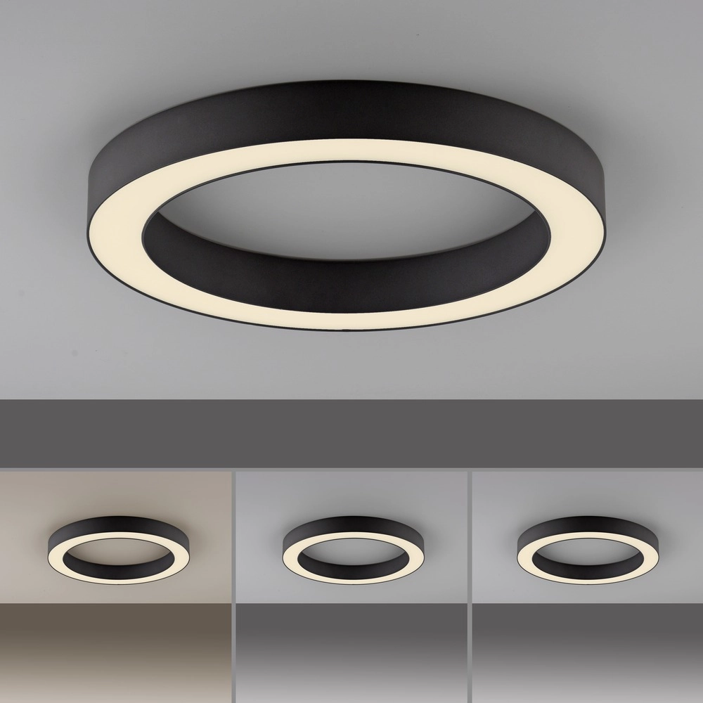 Sleek led ceiling lamp Pure Lines Round Ø 35cm - graphite Paul Neuhaus 4012248395219