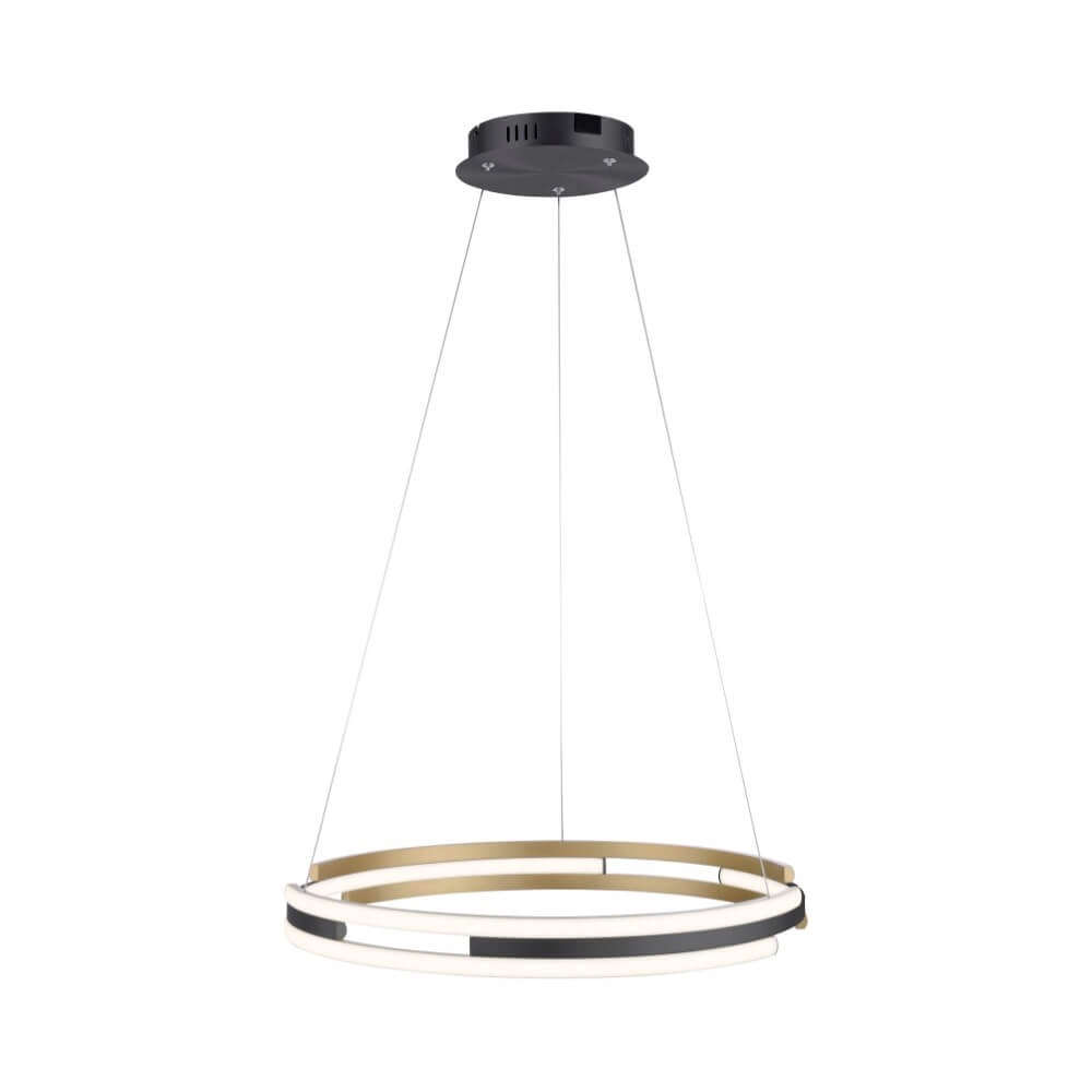 Design pendant lamp Q-Beluga 60cm Paul Neuhaus 4012248374641