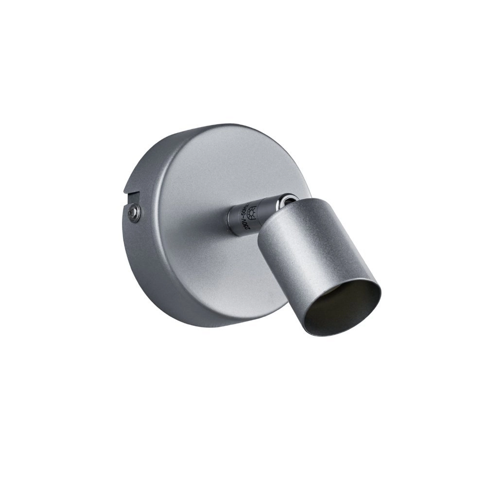 Ceiling spot Paris titanium gray