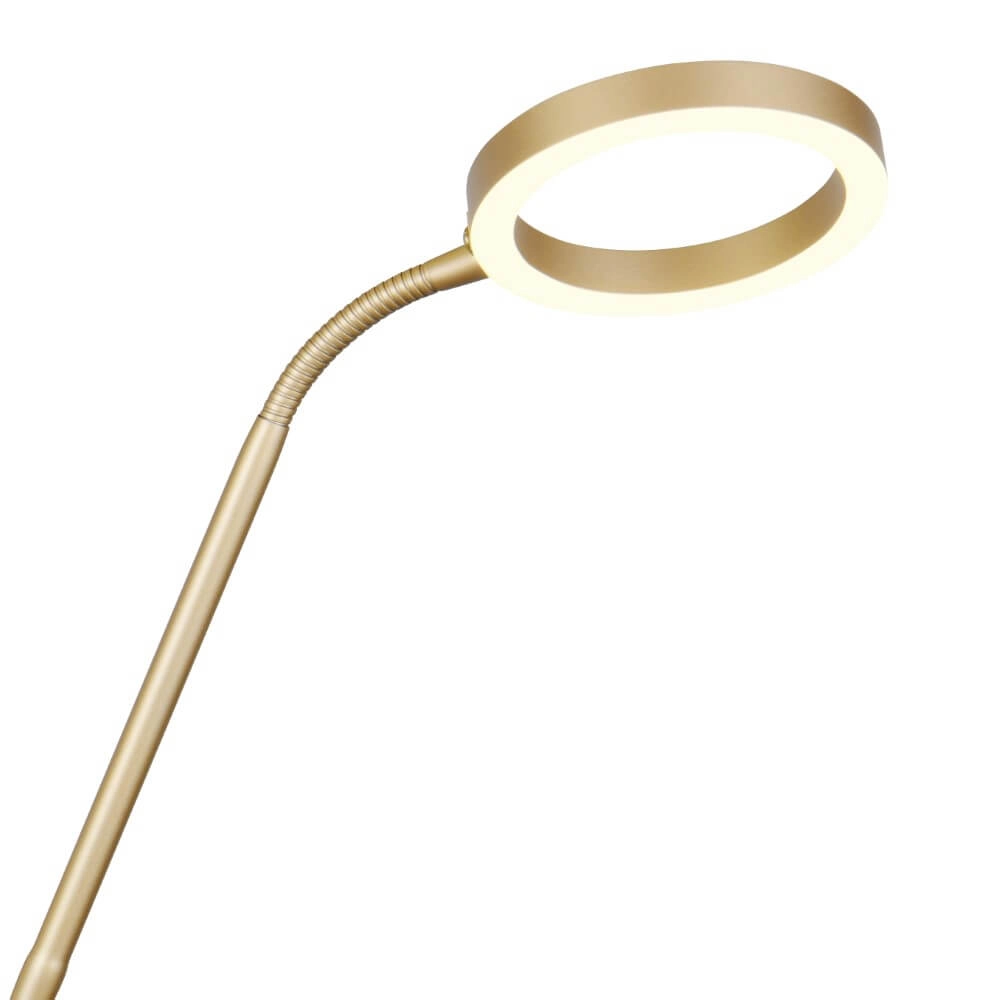 Design reading lamp Willis Gold - 180cm Trio 4017807627923