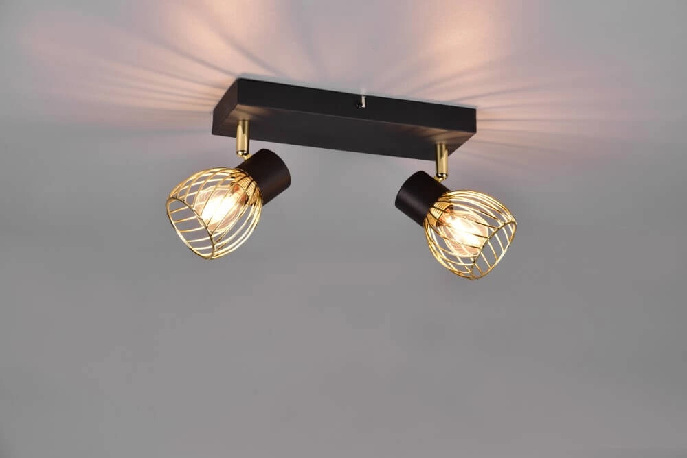 Ceiling lamp Ardon Design 2-light Trio 4017807560909