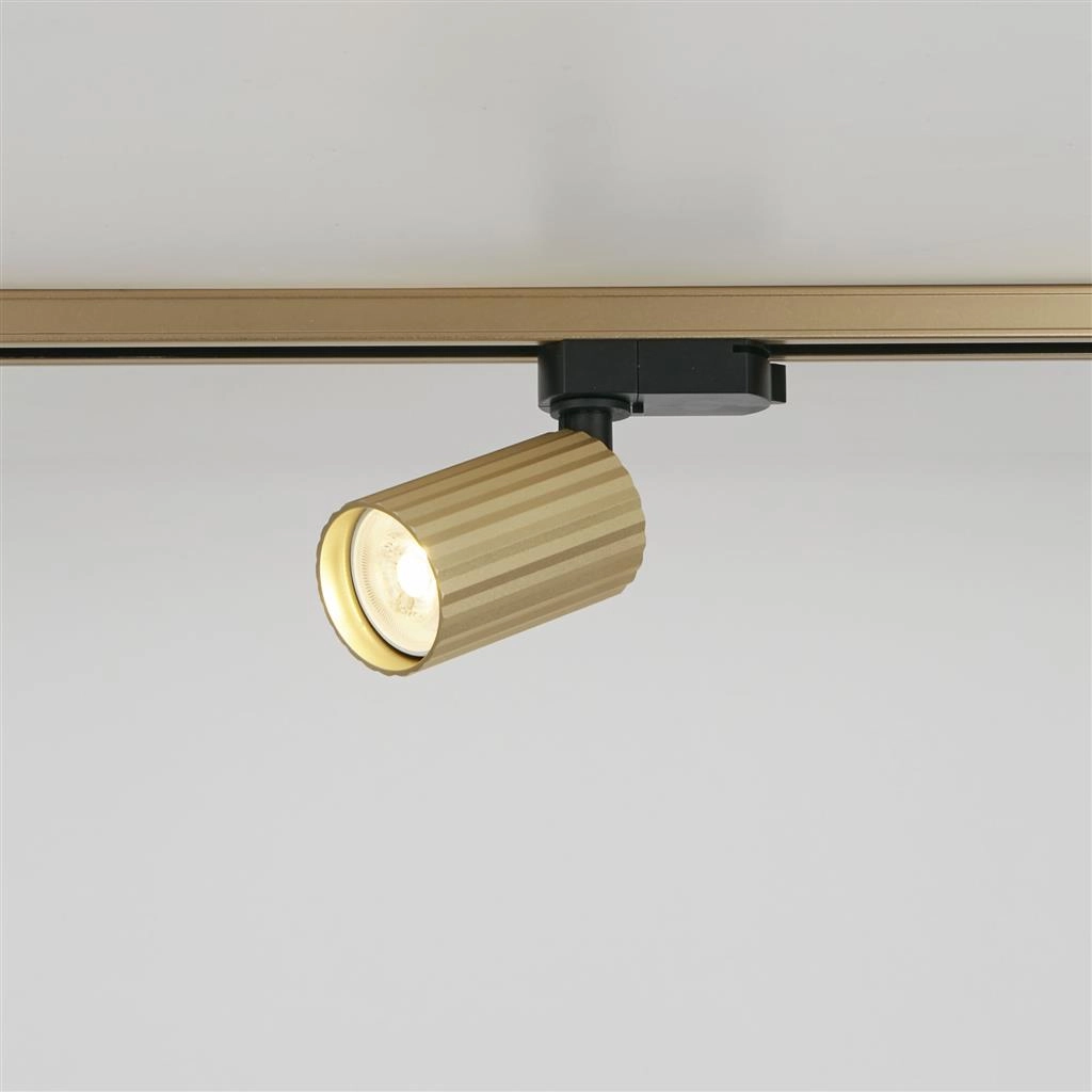 Rail spot Anna TraQ Gold