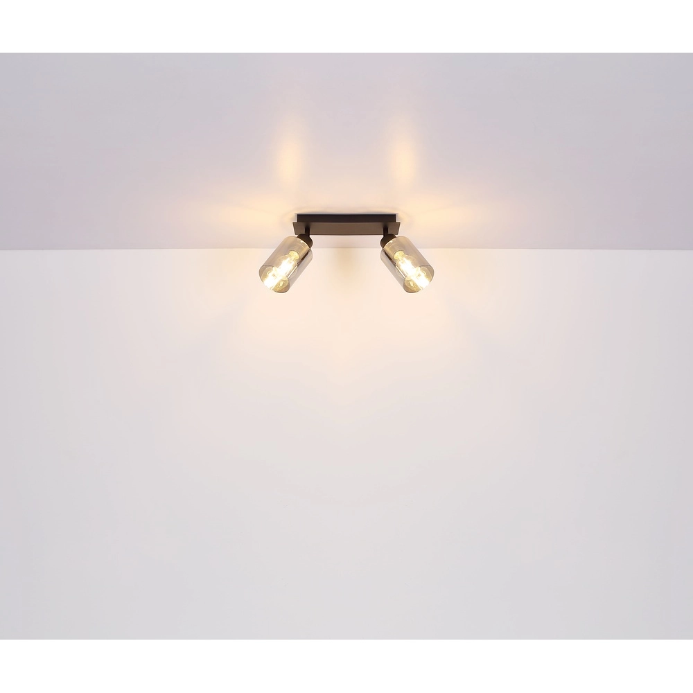 Ceiling lamp Hadera 2-light black with smoke glass Globo 9007371440214