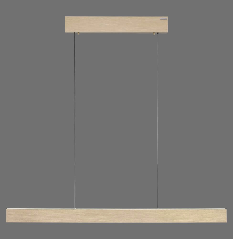 Design hanging lamp Pure E-Motion brass Paul Neuhaus 4012248372913