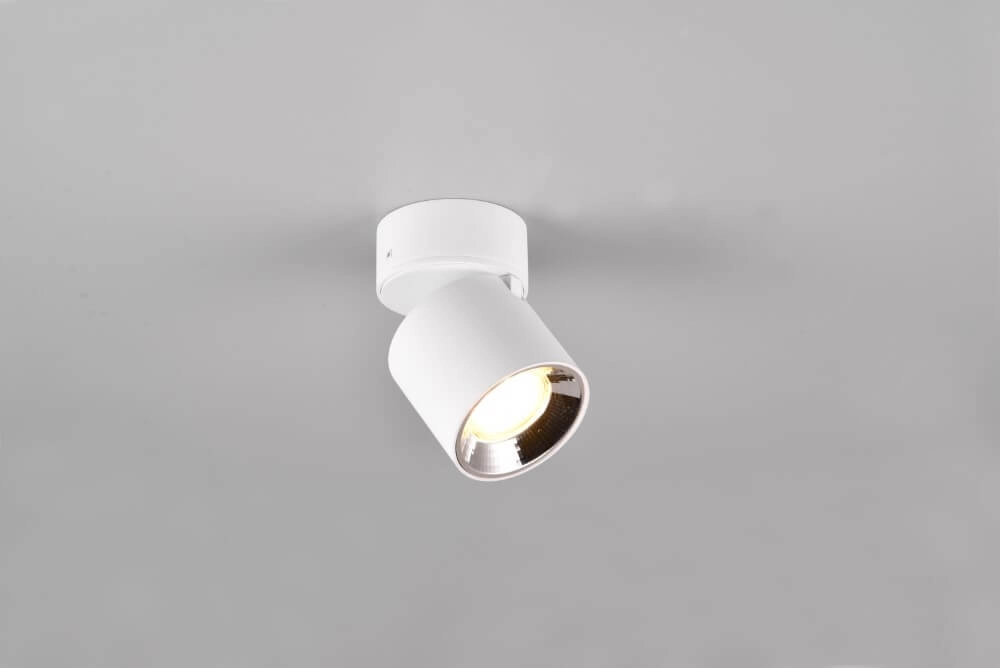 Ceiling light Guayana white Trio 4017807573923