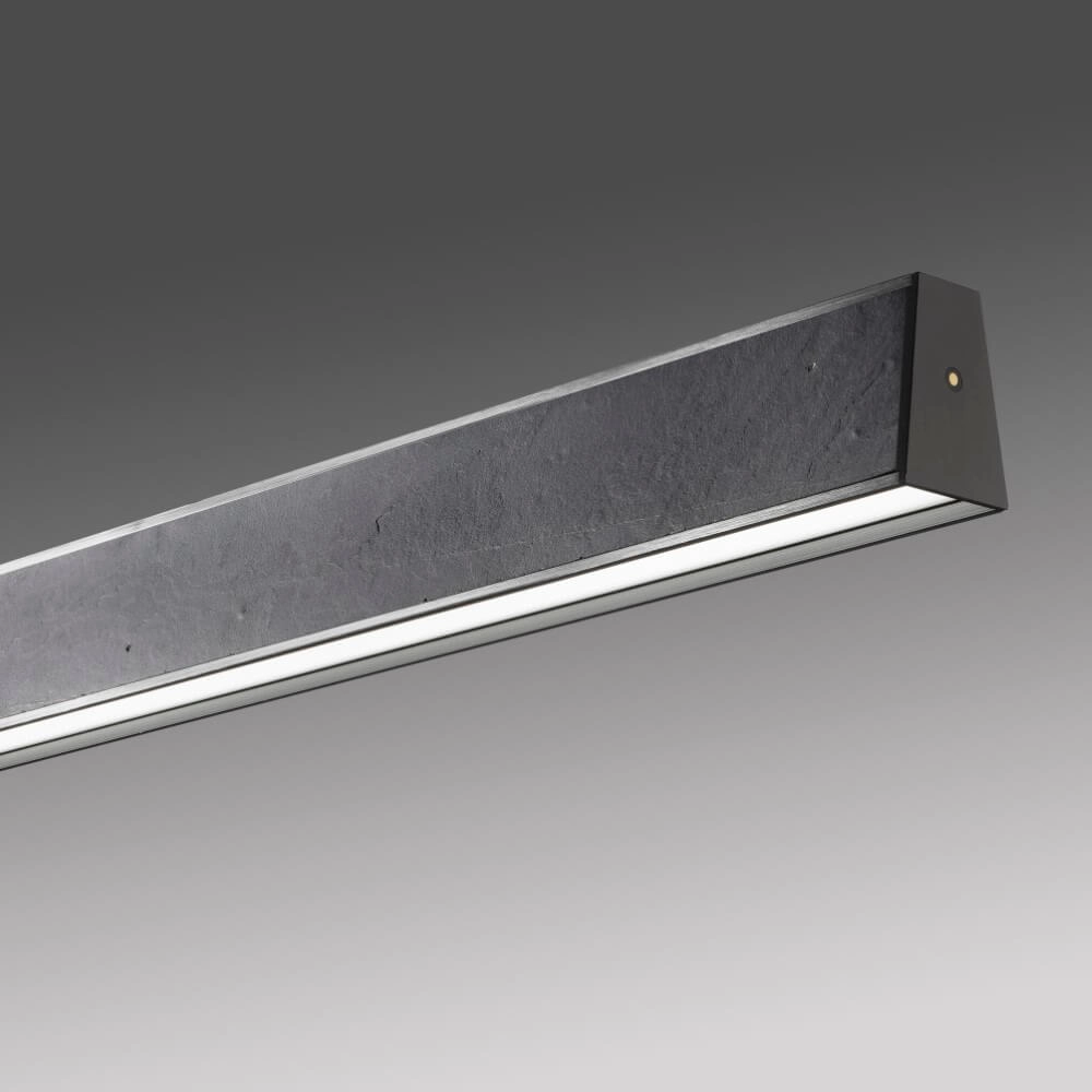 Design hanging lamp Pure E-Motion cartridge Paul Neuhaus 4012248386255