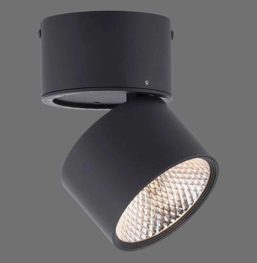 Surface-mounted spotlight Pure Nola black Paul Neuhaus 4012248371992
