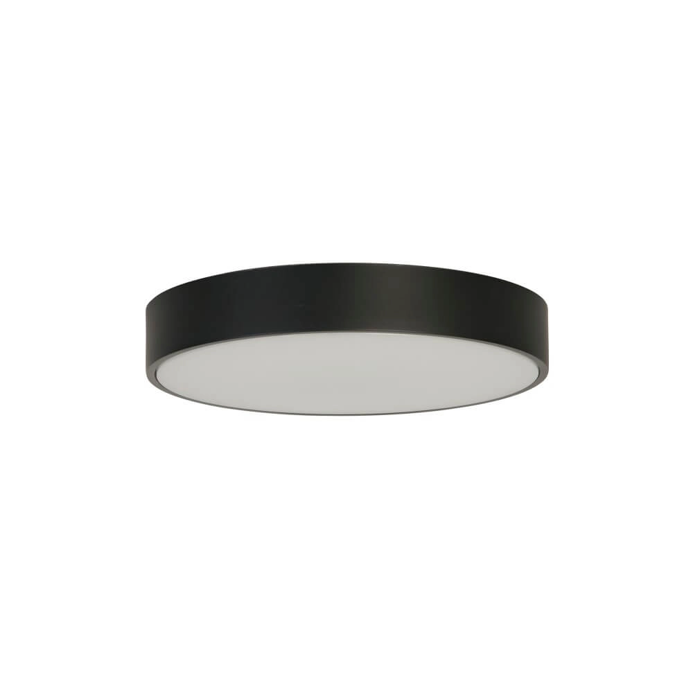 Ceiling lamp Palma Black with white window Searchlight 5053423273303