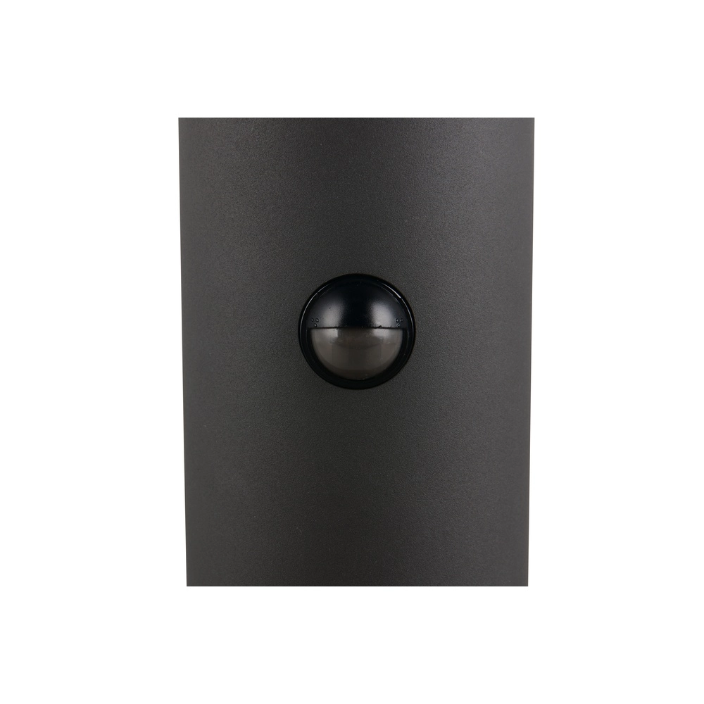 Garden lamp Tagus anthracite 50cm with sensor Trio 4017807686845