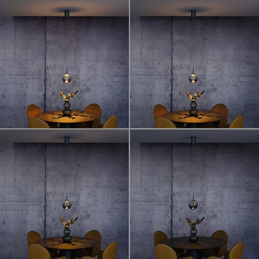 Led pendant light Pure Infinity with smoke glass - Ø 18cm Paul Neuhaus 4012248399033
