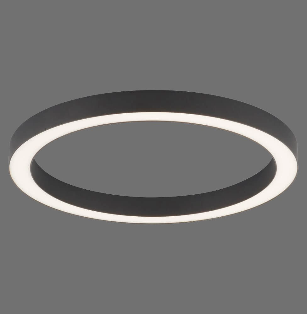 Round floor lamp Pure Lines Round Ø 50cm anthracite Paul Neuhaus 4012248375853