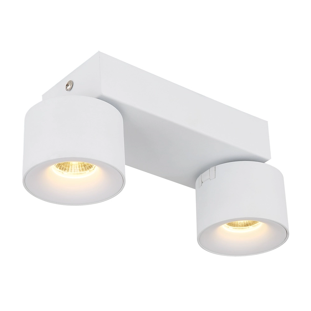 Sleek ceiling lamp Rae 2-light white Globo 9007371450640