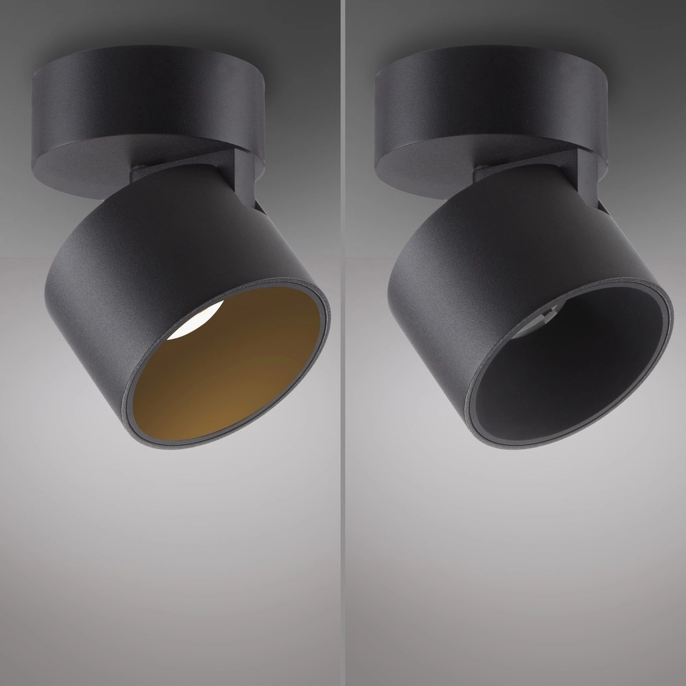 Sleek surface-mounted spot Pure Cup black pearl Paul Neuhaus 4012248395585