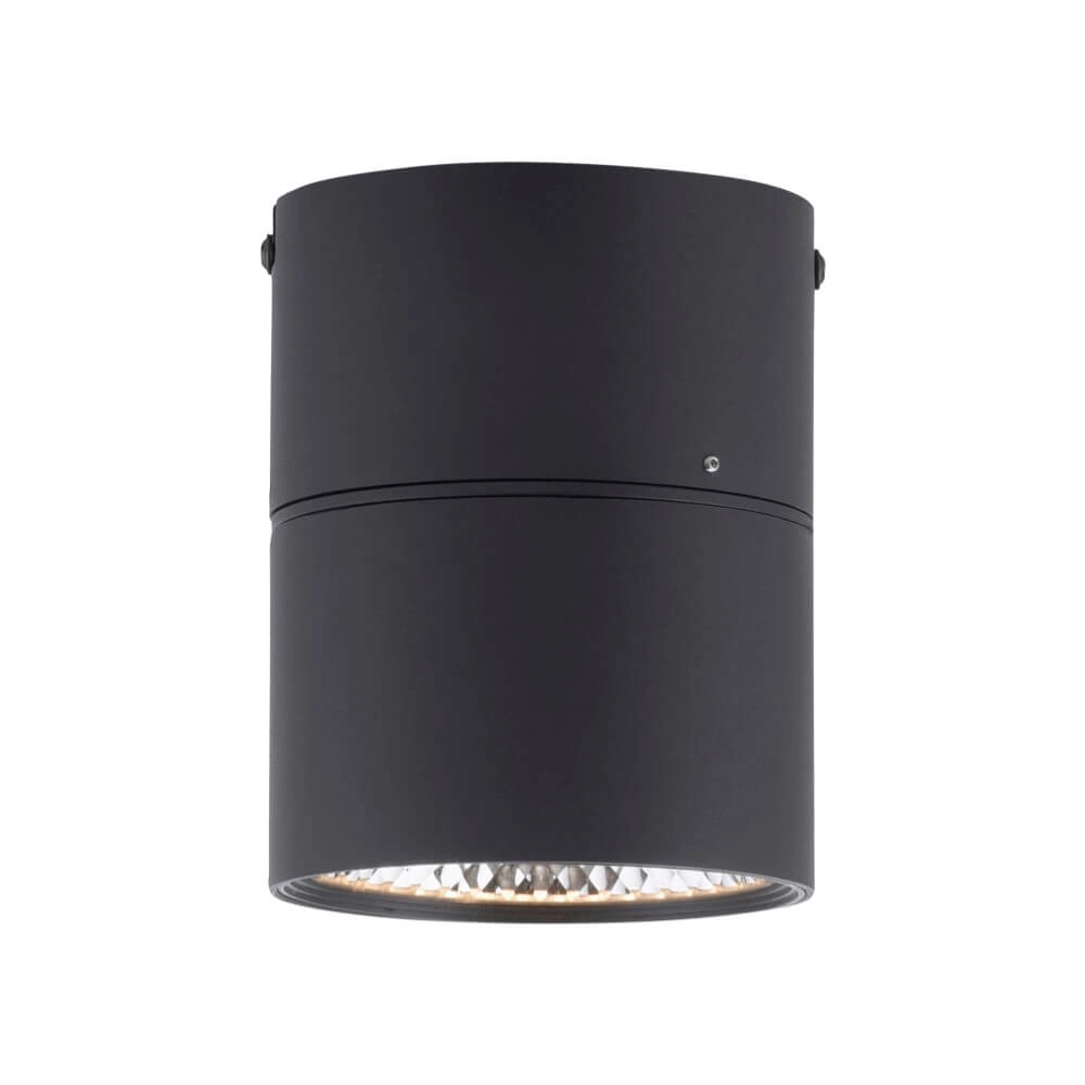 Surface-mounted spotlight Pure Nola black Paul Neuhaus 4012248371992
